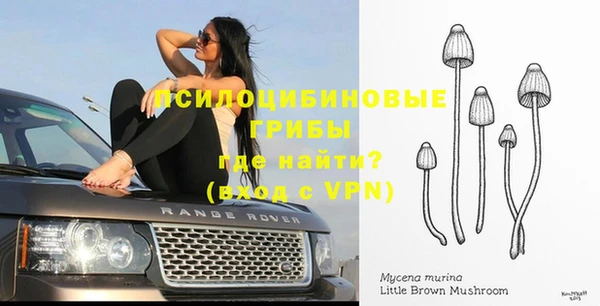 альфа пвп VHQ Гусев