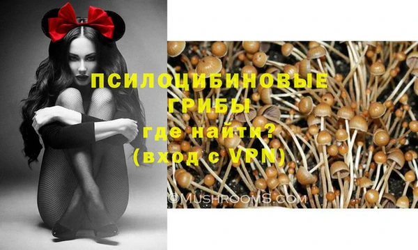 амфетамин Тавда