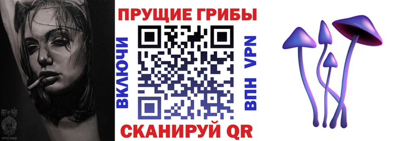 ссылка на мегу ONION  Дмитровск  Псилоцибиновые грибы GOLDEN TEACHER 