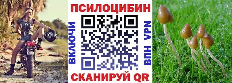 Галлюциногенные грибы MAGIC MUSHROOMS Дмитровск